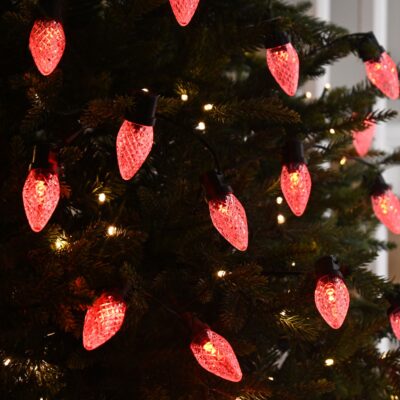 25 RGB Colour Changing Strawberry LEDs with Remote Control