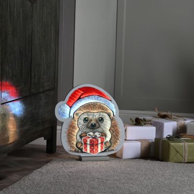 40cm Adorable Hedgehog Christmas Infinity Light