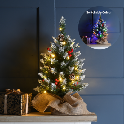 60cm Pre-Lit Berry and Cones Christmas Tree with Warm White & Multi Coloured Lights