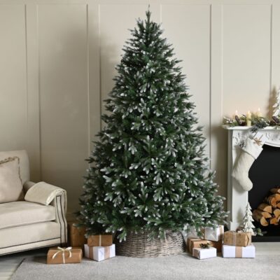 8ft Frosted Belvedere Pine Artificial Christmas Tree