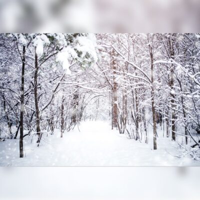 Snow-Covered Forest with Snowy Path Opening Printed Outdoor PVC Banner 2.4m x 4m