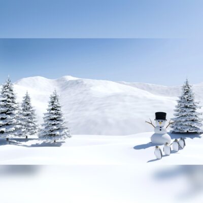 Snow Scene with Snowman and Penguins Printed Outdoor PVC Banner 2.4m x 4m