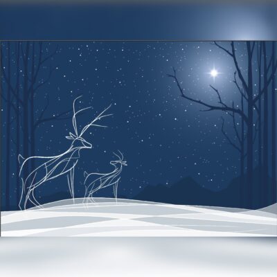 Starry Night Forrest Scene with Two Exploring Reindeer Printed Outdoor PVC Banner 2.4m x 4m