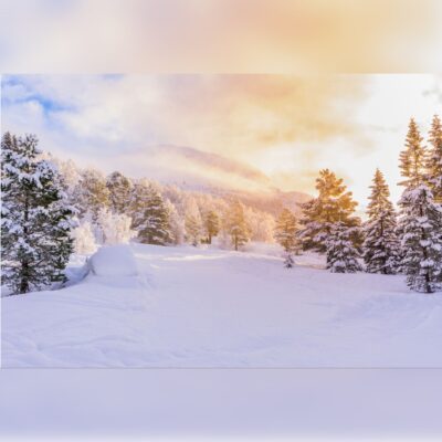 Wintry Forest Valley with Golden Sun Background Printed Outdoor PVC Banner 2.4m x 4m
